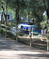 Camping la Ventouse 3 étoiles