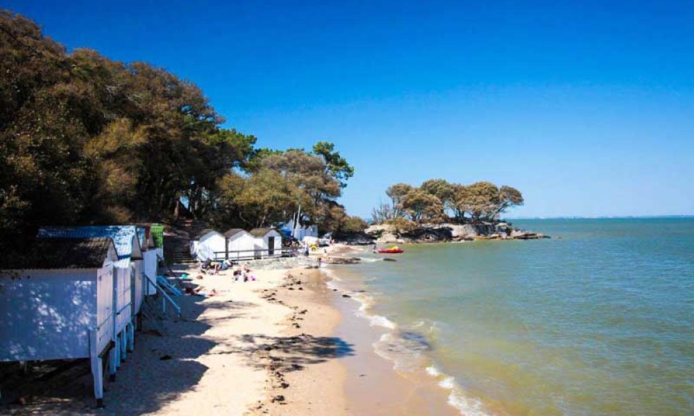 L&rsquo;ile de Noirmoutier
