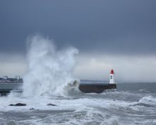 Profiter de vacances en bord de mer en Vendée