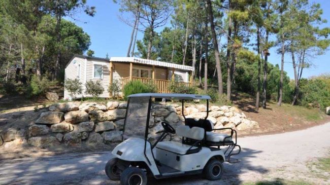 Camping Le Domaine des Pins 4 étoiles