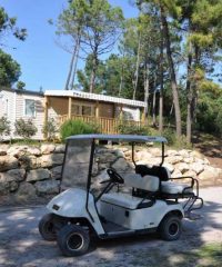Camping Le Domaine des Pins 4 étoiles