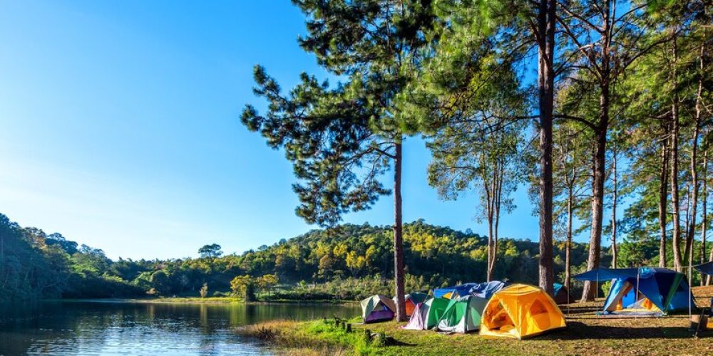 OÙ PROFITER D’UN PETIT CAMPING EN VENDÉE 3 ÉTOILES À L’ESPRIT FAMILIAL ?