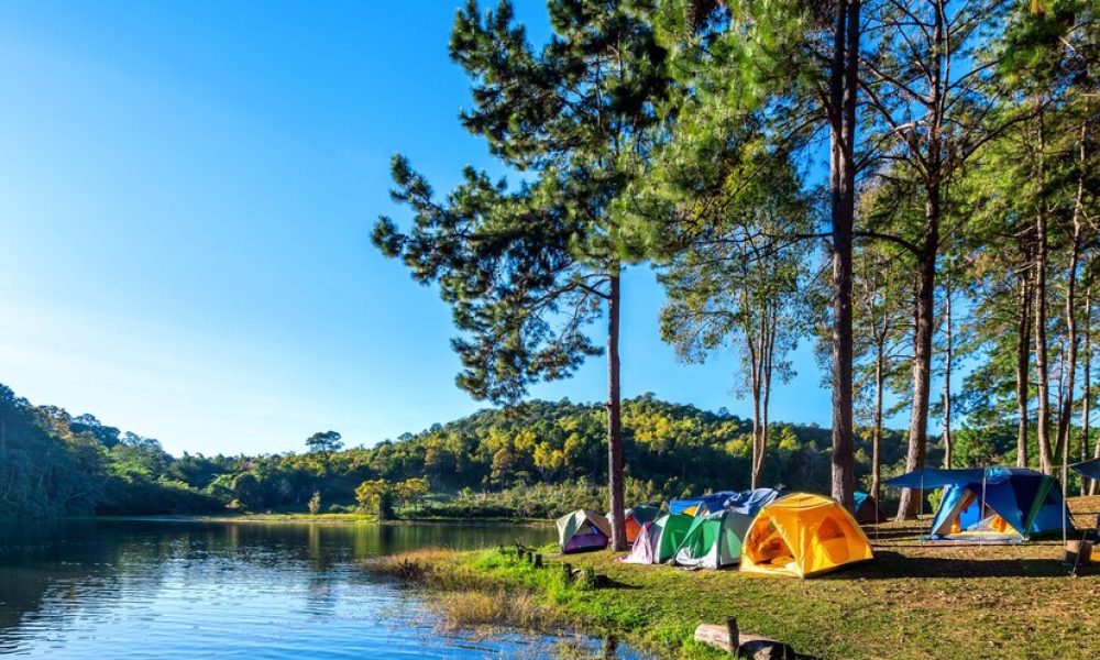 Quelle est la meilleure destination pour profiter d’un petit camping en Vendée 3 étoiles ?